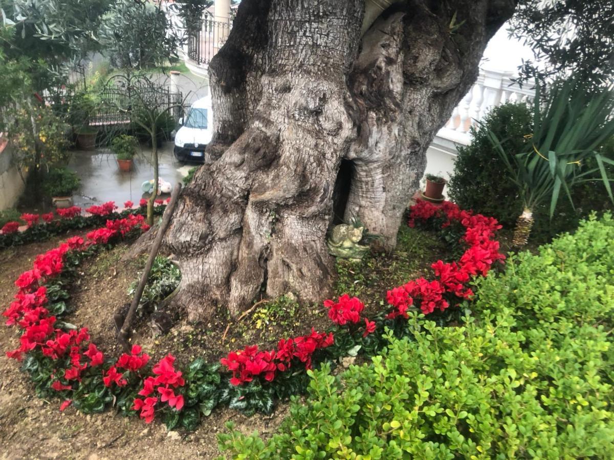 רוזטו קאפו ספוליקו B&B Rosa Dei Venti מראה חיצוני תמונה