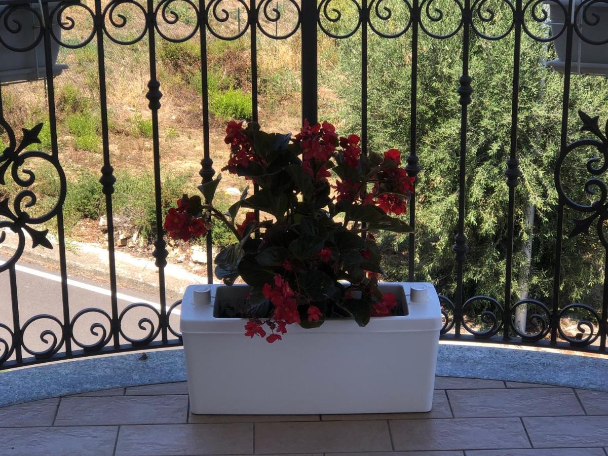 רוזטו קאפו ספוליקו B&B Rosa Dei Venti מראה חיצוני תמונה